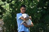 ADULTE ET CHIEN 539